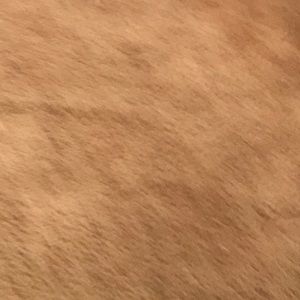 Meet your Posher, Caylen